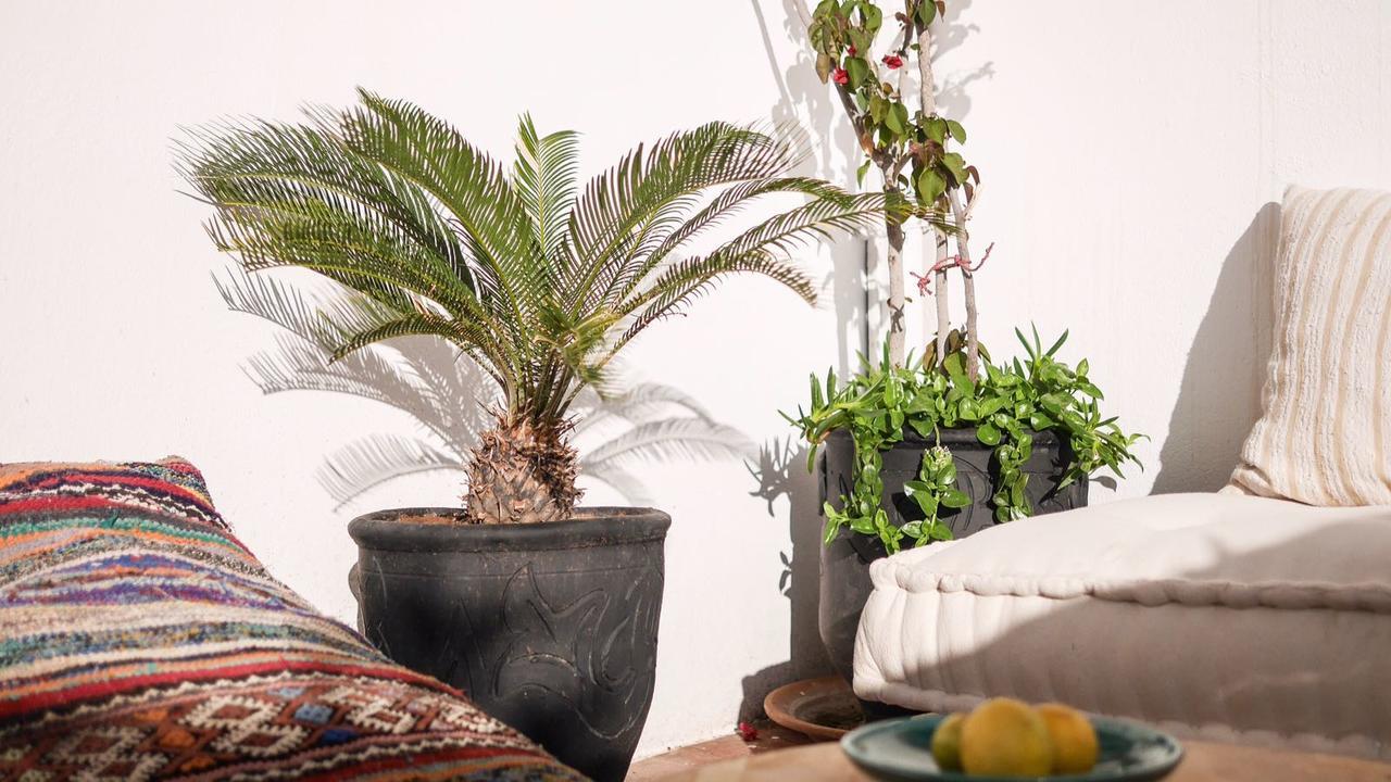 Boho 27 Hostel Marrakech Marrákes Kültér fotó